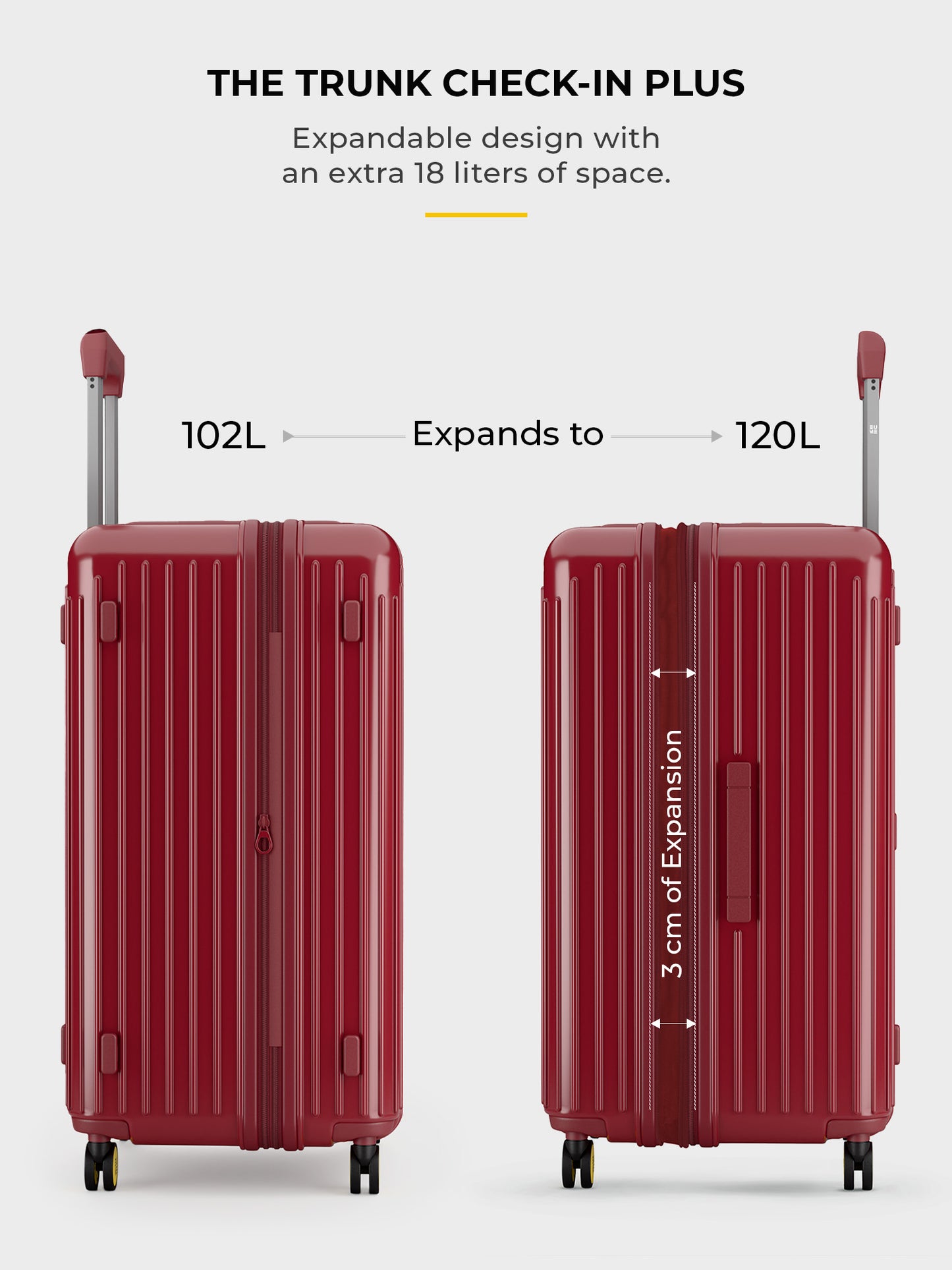 Aerotop Cabin + Trunk Check-In Plus
