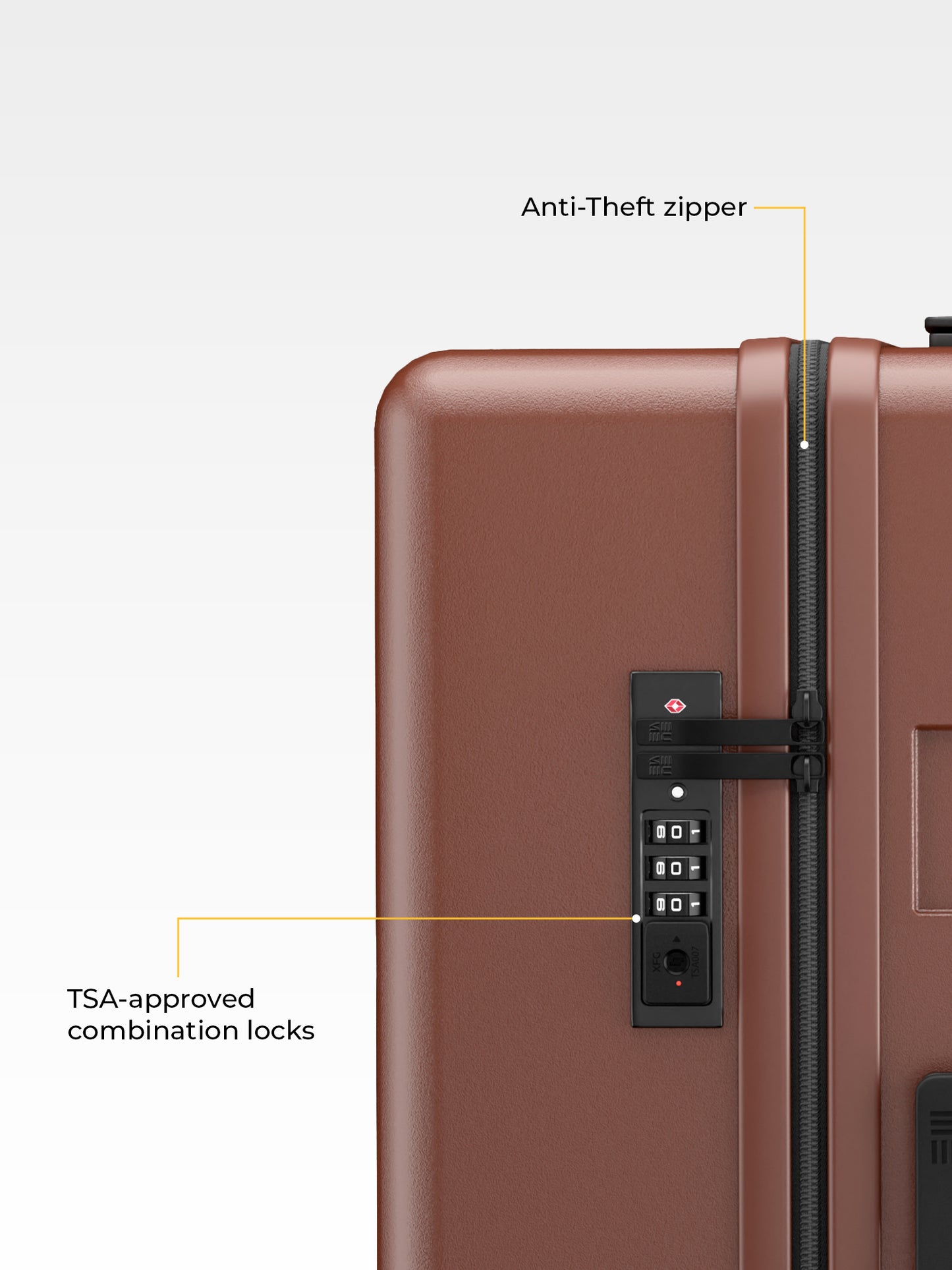 Classic Check-In Medium