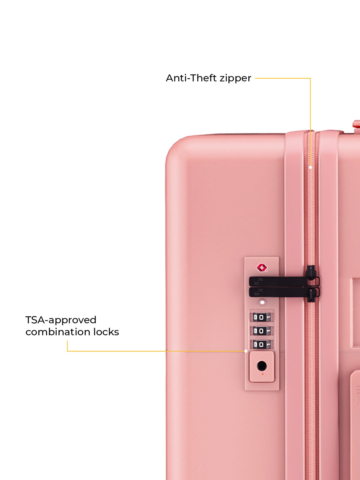 Classic Check-In Large