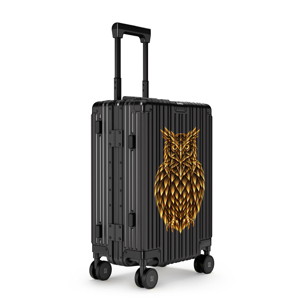 Owl Edition 6