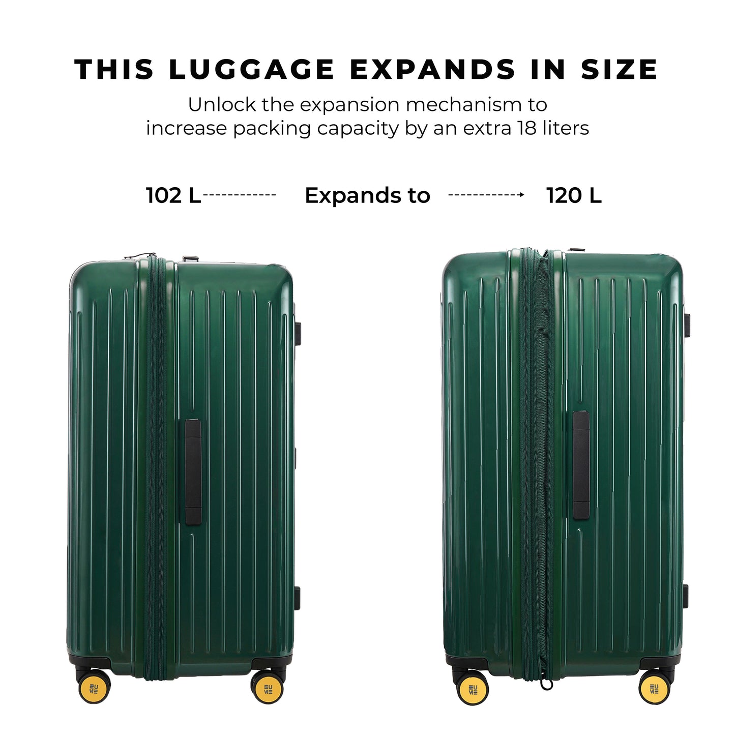 Classic Cabin + Trunk Check - In Plus