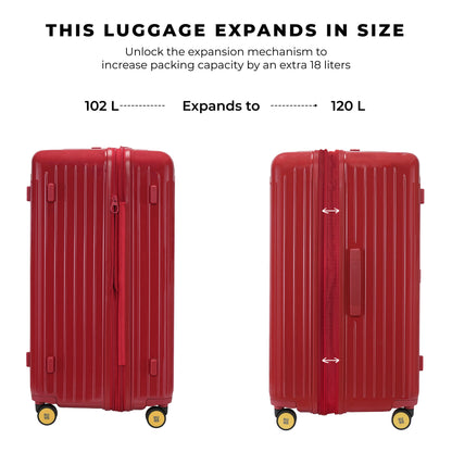 Classic Cabin + Trunk Check - In Plus