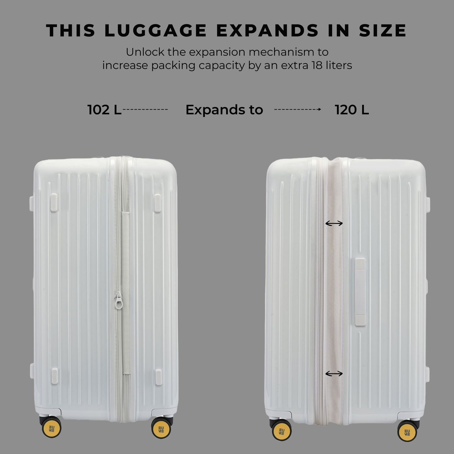 Cabin Pro + Trunk Check-In Plus