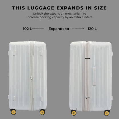 Cabin Pro + Trunk Check-In Plus